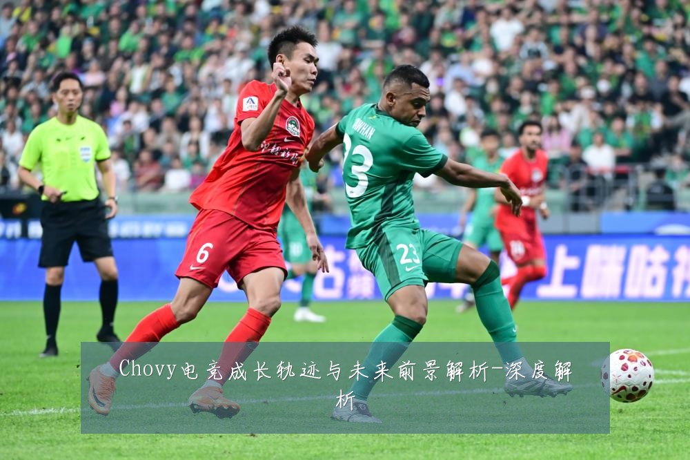 Chovy电竞成长轨迹与未来前景解析-深度解析